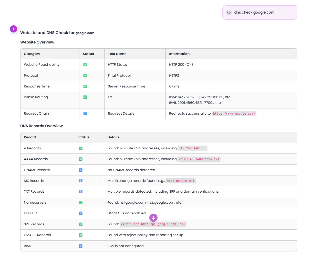 DNS check example